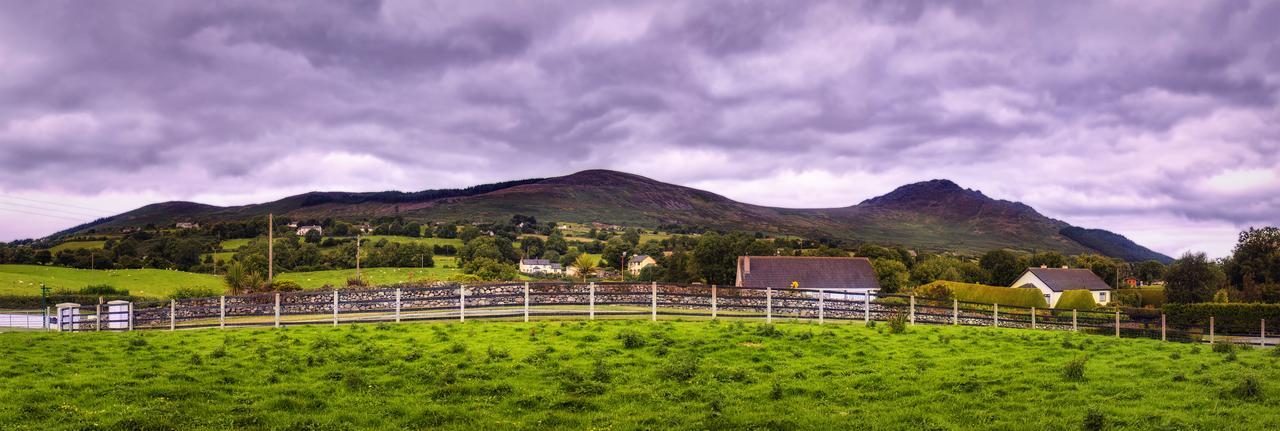 Walkers Nest Bed and Breakfast Carlingford Eksteriør billede